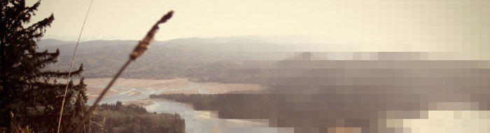 pixelated